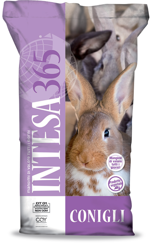 Intesa365 - Mangime conigli