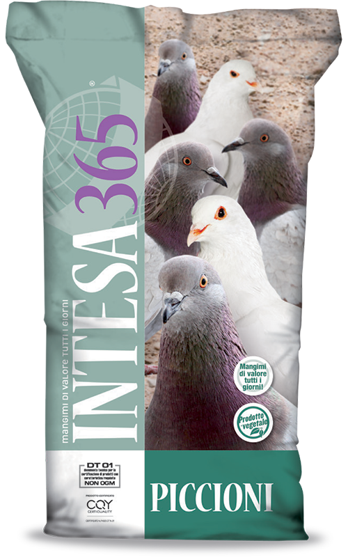 Intesa365 - Mangime piccioni