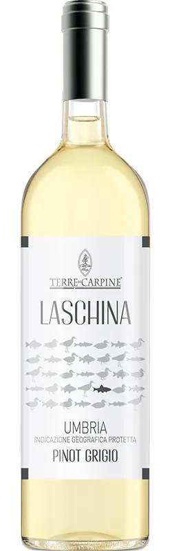 Laschina - Vino bianco Pinot Grigio Umbria IGP
