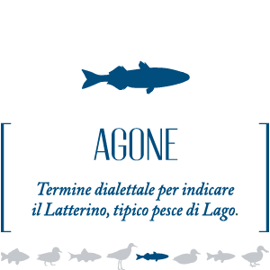Agone - Vino bianco Chardonnay Umbria IGP