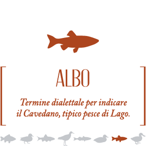 Albo - Vino bianco Trebbiano Umbria IGP