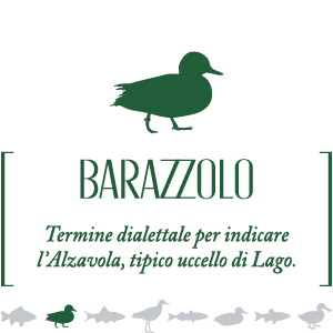 Barazzolo - Vino rosso Cabernet Sauvignon Umbria IGP