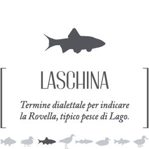 Laschina - Vino bianco Pinot Grigio Umbria IGP
