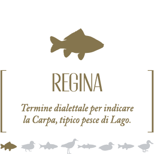 Regina - Vino bianco Grechetto Umbria IGP