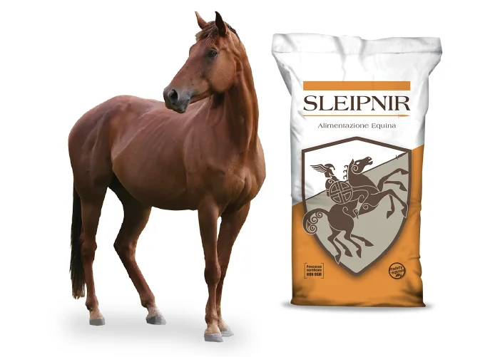 Mangime per Cavalli Sleipnir