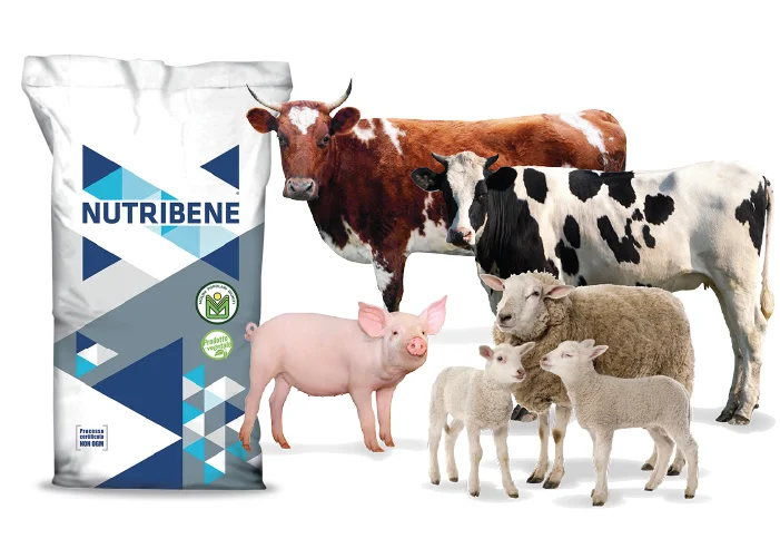 Nutribene