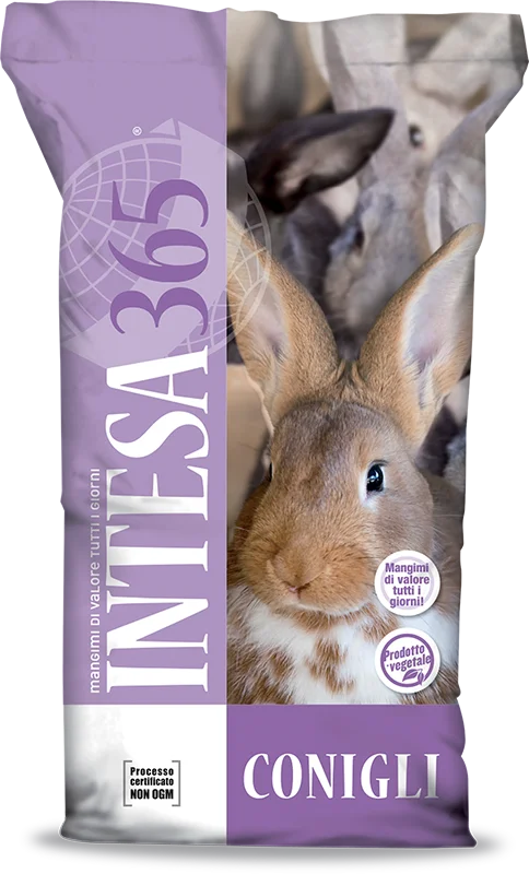 Intesa365 - Mangime conigli