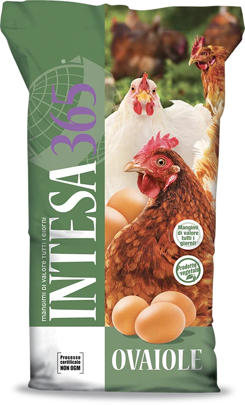 Intesa365 - Sacco ovaiole