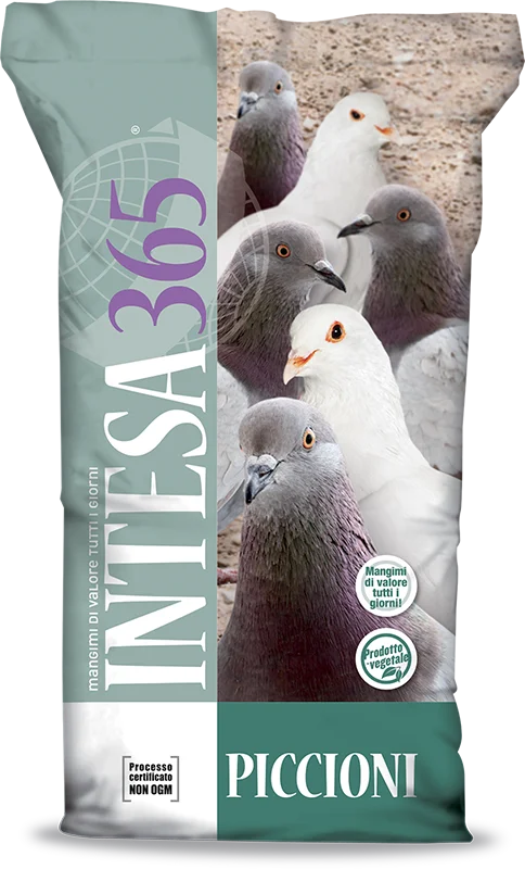 Mangime Intesa365 per piccioni