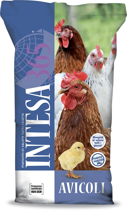 Intesa365 - Avicoli