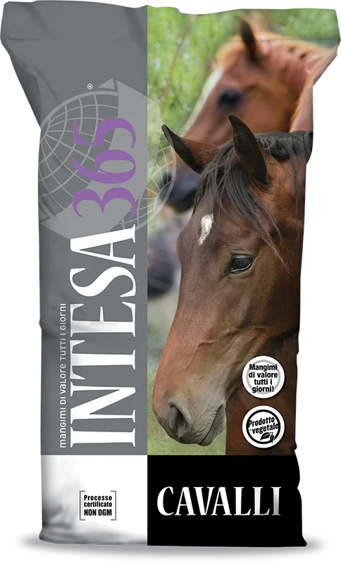 Mangime Intesa365 per equini