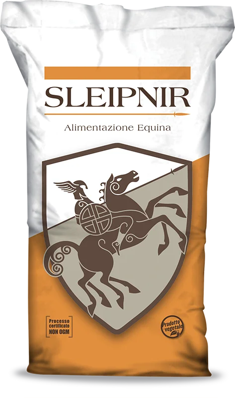 Sacco equini Sleipnir