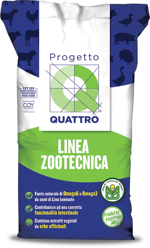 Progetto Q4