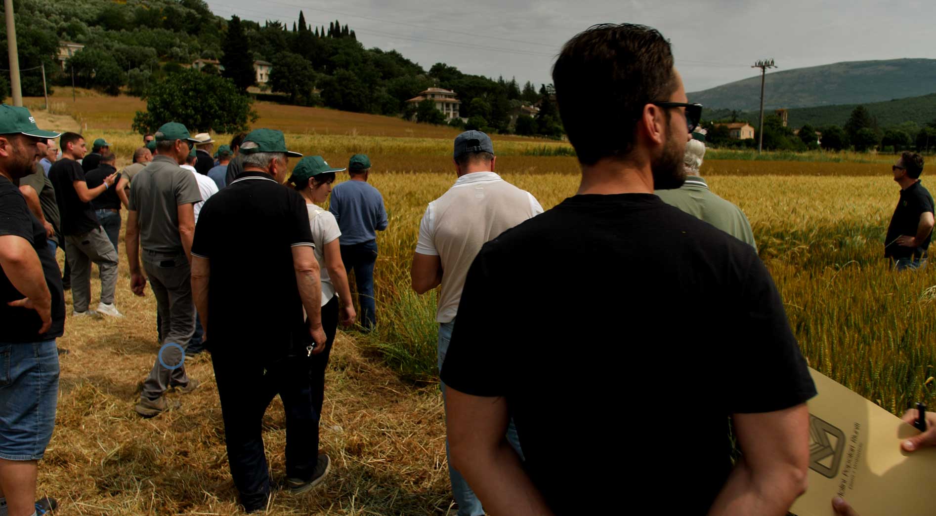Agricoltori e soci di Molini Popolari Riuniti camminano in un campo di grano durante la giornata di sperimentazione a Mantignana, osservando le varietà di frumento di forza.