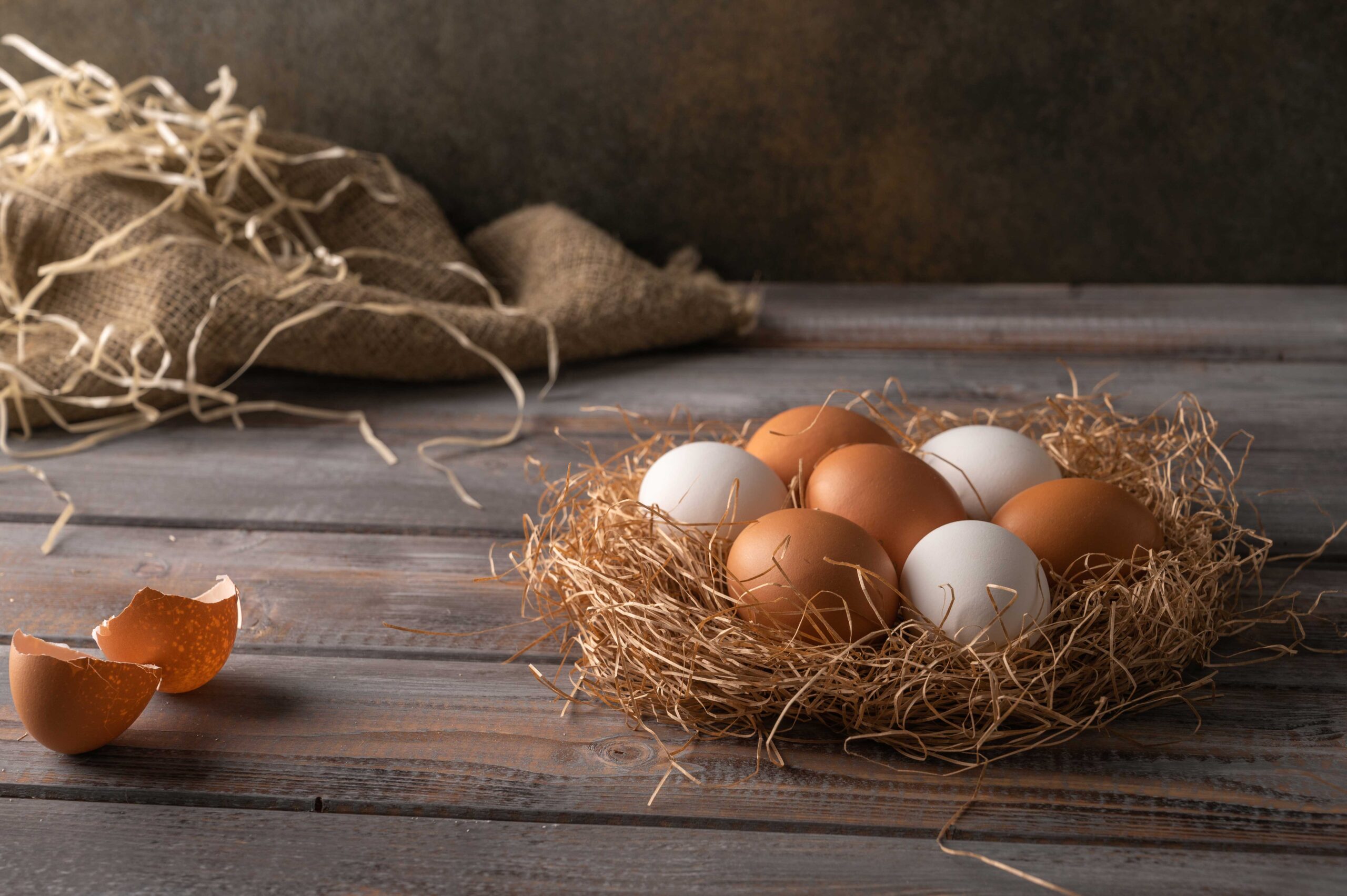 Problemi Salute Galline Ovaiole: Guida a Prevenzione e Cura Uova di gallina